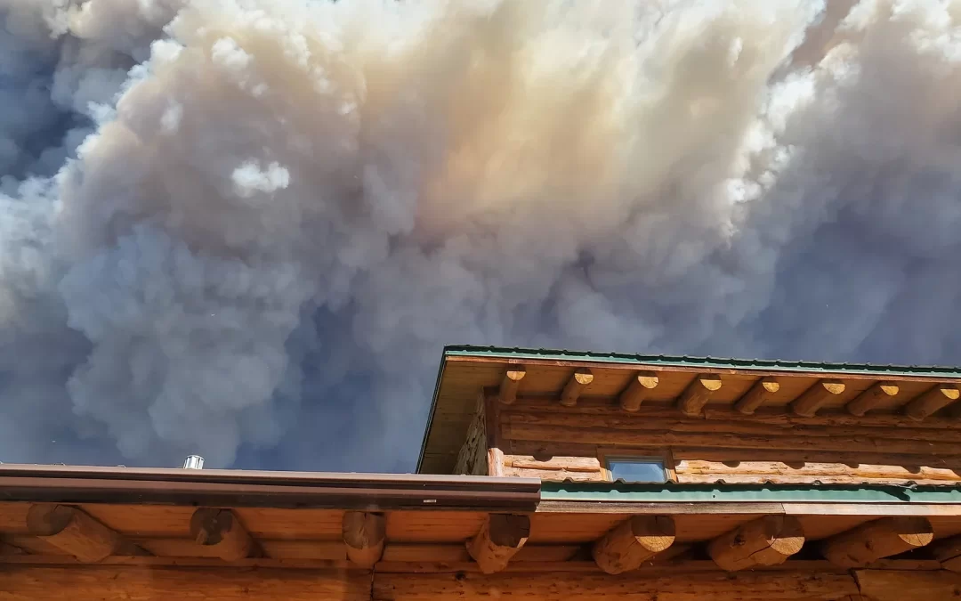 Cameron Peak Fire Destroys Storm Mountain Jeep Trail Near Estes Park Colorado