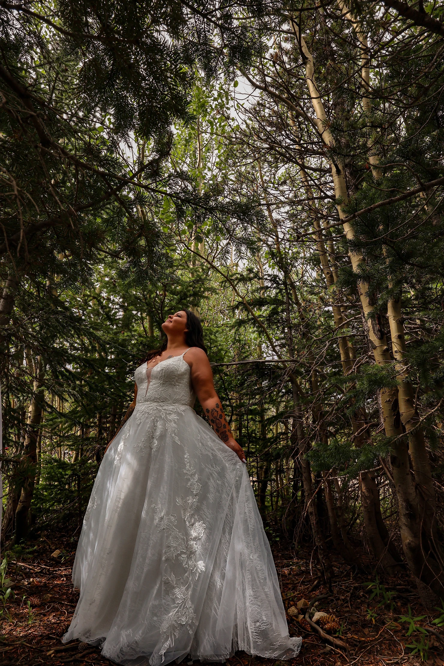 A beautiful bride stands beneath a canopy of evergreens in a mountain forest.