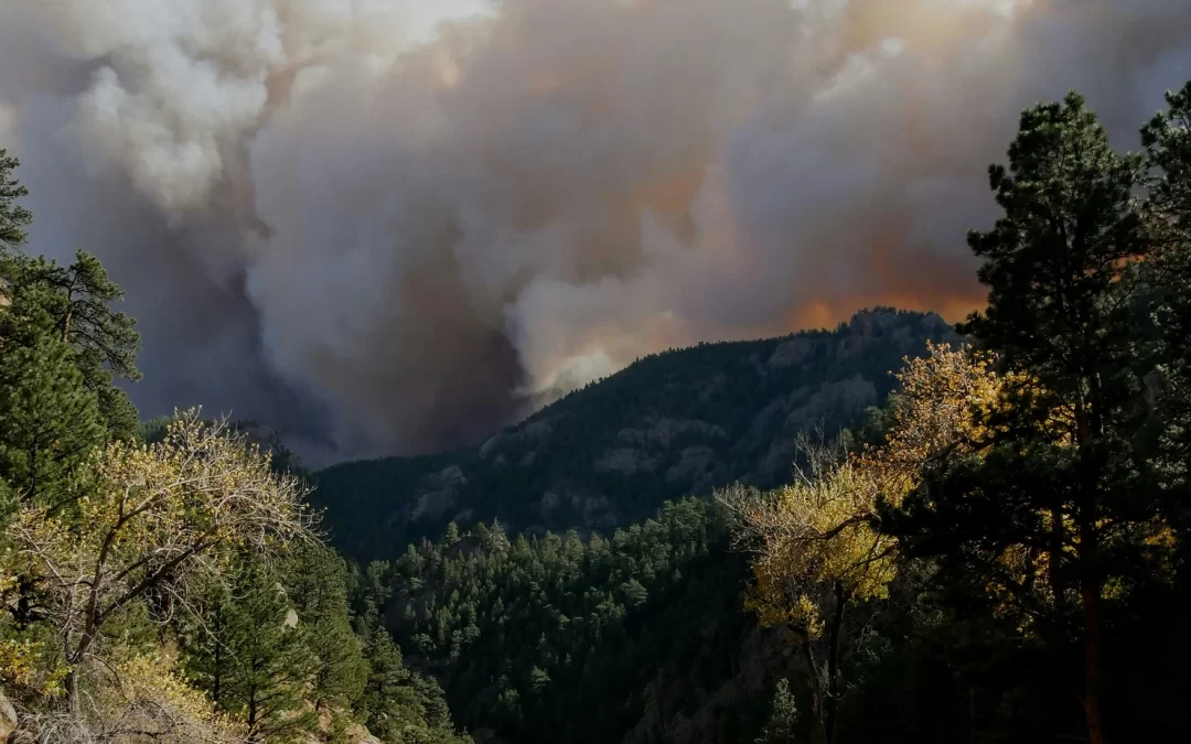 Wildfire Season in the Rockies – A Comprehensive Guide