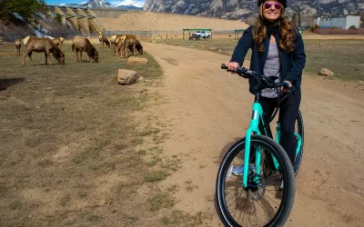 Ride an E-Bike to find the Elk